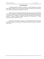 Thiết kế bộ biến đổi tín hiệu tương tự sang số