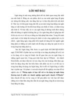 Phòng ngừa và hạn chế rủi ro tín dụng tại ngân hàng thương mại cổ phần các doanh nghiệp ngoài quốc doanh (VPBank)