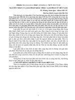 Nguyên nhân và giải pháp khắc phục lạm phát ở Việt Nam