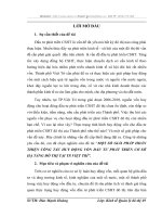 MỘT SỐ GIẢI PHÁP HOÀN THIỆN CÔNG TÁC HUY ĐỘNG VỐN ĐẦU TƯ PHÁT TRIỂN CƠ SỞ HẠ TẦNG ĐÔ THỊ TẠI TP.VIỆT TRÌ