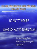 MẠNG NỘI HẠT VÔ TUYẾN WLAN