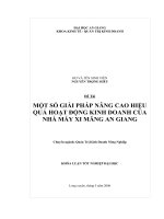 Một số giải pháp nâng cao hiệu quả hoạt động kinh doanh của nhà máy xi măng An Giang