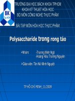 Polysaccharide trong rong tảo
