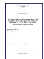 THỬ NGHIỆM DÙNG HORMON ĐỰC Ở GIÁP XÁC THUỘC BỘ MƯỜI CHÂN DECAPODA ĐỂ ĐỰC HÓA HẬY ẤU TRÙNG TÔM CÀNG XANH