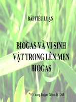BIOGAS VÀ VI SINH VẬT TRONG LÊN MEN BIOGAS