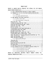 PHƯƠNG HƯỚNG PHÁT TRIỂN CÔNG TY  CỔ PHẦN PHÂN PHỐI THỜI GIAN