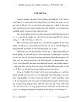 Phát triển mạng lưới phân phối sản phẩm ổn áp STANDA tại Công ty Cổ phần Tiêu Chuẩn Việt