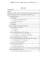 Hạn chế rủi ro tín dụng tại Chi nhánh nghân hàng công thương Hoàn Kiếm