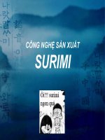 Công nghệ Chế biến Thịt & Thủy sản SURIMI
