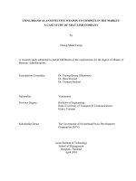 USING BRAND AS AN EFFECTIVE WEAPON TO COMPETE IN THE MARKET: A CASE STUDY OF NHAT LINH COMPANY