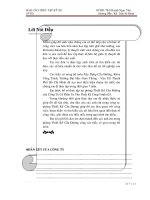 Dự án đầu tư xây dựng công trình Đường vào khu công nghiệp Long Giang - Giai đoạn 1