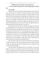 Hệ thống quản lý môi trường và sản xuất sạch hơn