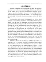 VĂN HÓA DOANH NGHIỆP CỦA CÔNG TY CỔ PHẦN CHỨNG KHOÁN BIỂN VIỆT.