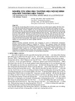 nghiên cứu hình ảnh thương hiệu nội bộ minh họa bằng thương hiệu THACO