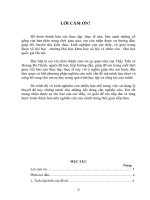 Thực trạng hệ thống y tế và việc đáp ứng nhu cầu chăm sóc sức khỏe của người Thái ở xã Tân lập