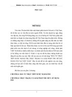 THỰC TRẠNG CỦA THU HÚT VÀ SỬ DỤNG FDI  ĐỐI  TRONG  NỀN  KINH  TẾ VIỆT NAM