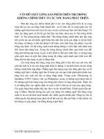 Vấn đề chất lượng sản phẩm trên thị trường không chính thức ở các nước đang phát triển