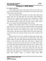 thiết kế hệ thống xử lý chất thải dệt nhuộm