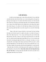 Hoàn thiện chính sách thuế nhập khẩu hàng hóa của Việt Nam