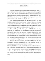 Một số giải pháp nhằm mở rộng và hoàn thiện công tác TTKDTM tại các NHTM Việt Nam