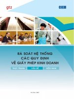 Rà soát hệ thống các quy định về giấy phép kinh doanh