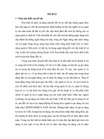 Xây dựng mô hình xếp hạng tín dụng các doanh nghiệp ở Việt nam