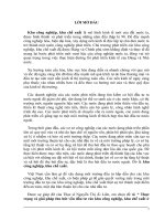 Thực trạng và giải pháp thu hút vốn đầu tư vào khu công nghiệp, khu chế xuất ở Việt Nam