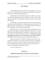 Tìm hiều về tranh chấp Hợp đồng kinh tế giữa Công ty CP TM & DV Quốc tế An Thịnh và Công ty CP Vĩnh Hà