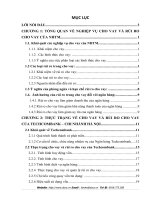 MỘT SỐ GIẢI PHÁP PHÒNG NGỪA VÀ  HẠN CHẾ RỦI RO CHO VAY TẠI TECHCOMBANK –  CHI NHÁNH HÀ NỘI