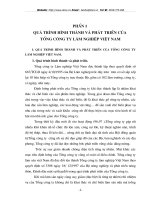 Tổng quan về tổng công ty lâm nghiệp Việt Nam