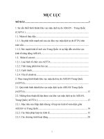 khu vực mậu dịch tự do ASEAN – Trung Quốc (CAFTA )