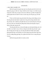 Khái quát thị trường bất động sản