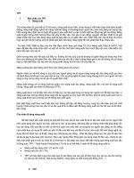 Năng suất lao động