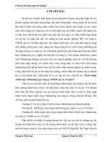 620 Hoàn thiện chiến lược Marketing tại Công ty TNHH cao su Vũ Quế