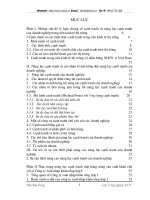 Giải pháp nâng cao năng lực cạnh tranh của mặt hàng nông sản xuất khẩu tại công ty xuất nhập khẩu tổng hợp I