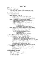 Tổng quan về Tổng công ty bưu chính Viễn thông Việt Nam