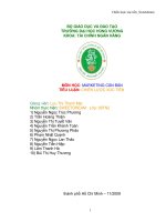 CHIẾN LƯỢC XÚC TIẾN