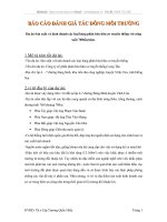 BÁO CÁO ĐÁNH GIÁ TÁC ĐÔNG MÔI TRƯỜNG