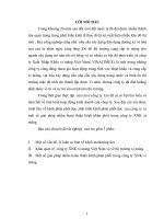 Khái quát về  công ty XNK xi măng Việt Nam và về thị trường xi măng