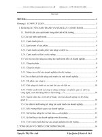 Hoàn thiện chiến lược kinh doanh nhằm tăng cường khả năng cạnh tranh cho Công ty cổ phần xây dựng Sông Đà 11