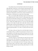 Một số giải pháp nhằm nâng cao hiệu quả sử dụng vốn lưu động tại Công ty Kim khí Hà Nội