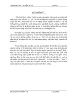 139 Bán phá giá và bài học kinh nghiệm rút ra cho các doanh nghiệp Việt Nam 