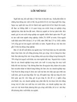 quá trình hoạt động của ngành dệt may Việt Nam