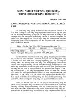 Nông nghiệp Việt Nam trong quá trình hội nhập kinh tế quốc tế