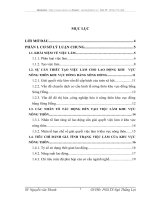 Giải pháp việc làm cho lao động nông thôn khu vực đồng bằng Sồng Hồng