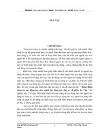 “ Hoàn thiện công tác tạo động lực cho người lao động tại công ty cổ phần Âu Việt