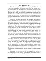 thực trạng nhân lực công nghiệp trong các doanh nghiệp liên doanh Việt Nam