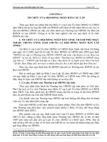 TỔ CHỨC CỦA HỘI ĐỒNG NHÂN DÂN CÁC CẤP