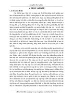 những kinh nghiệm khi vẽ tranh