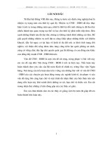 Nghiên cứu về công nghiệp hóa - hiện đại hóa